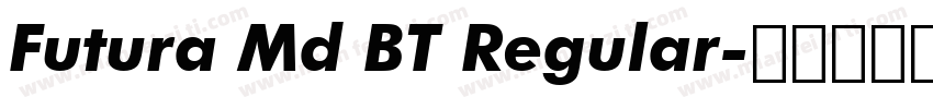 Futura Md BT Regular字体转换